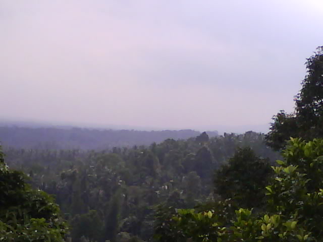 pemandangan